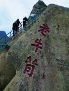 <b>中国集邮有限公司在北京举办以“年货迎祥·骏驰</b>